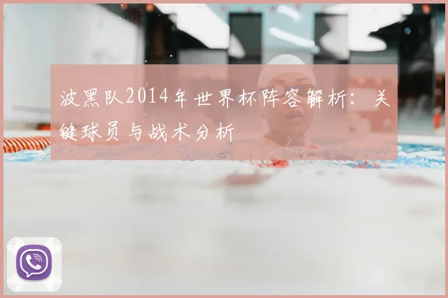 波黑队2014年世界杯阵容解析：关键球员与战术分析