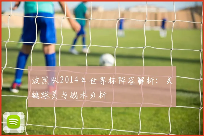 波黑队2014年世界杯阵容解析：关键球员与战术分析