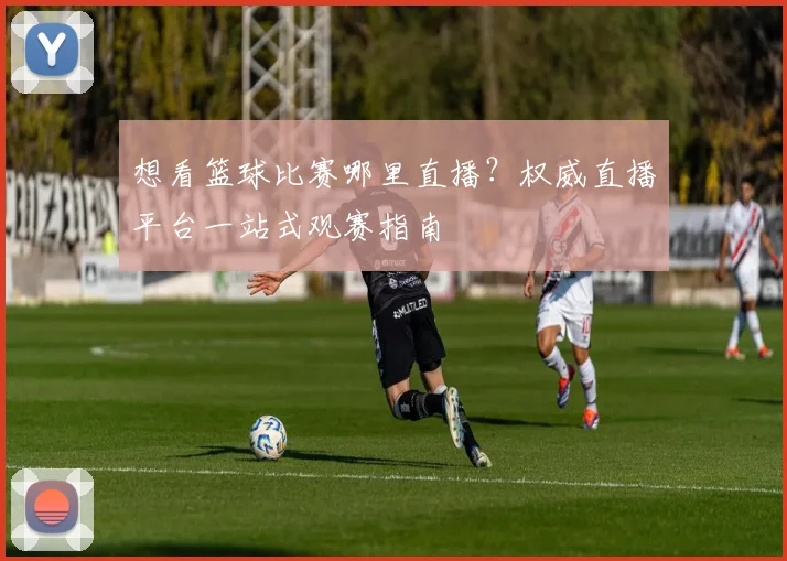 想看篮球比赛哪里直播？权威直播平台一站式观赛指南