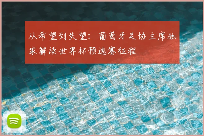 从希望到失望：葡萄牙足协主席独家解读世界杯预选赛征程