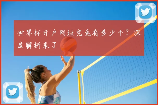 世界杯开户网址究竟有多少个？深度解析来了
