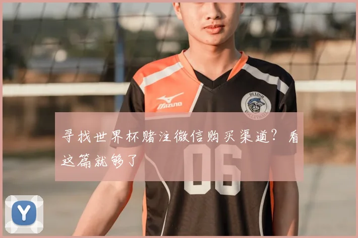 寻找世界杯赌注微信购买渠道？看这篇就够了