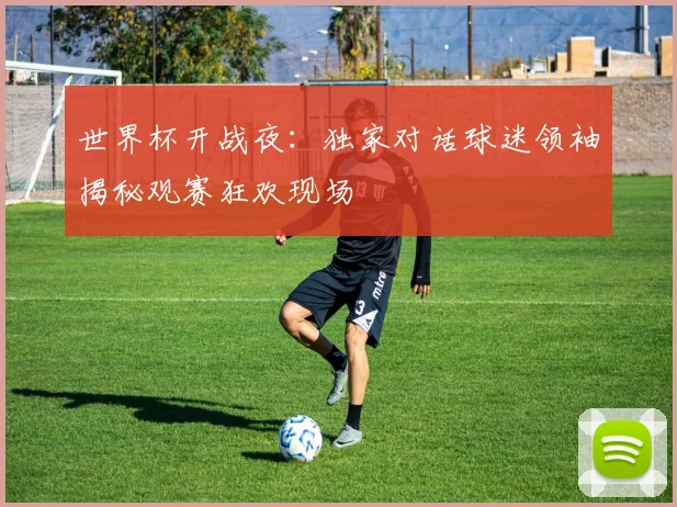 世界杯开战夜：独家对话球迷领袖揭秘观赛狂欢现场