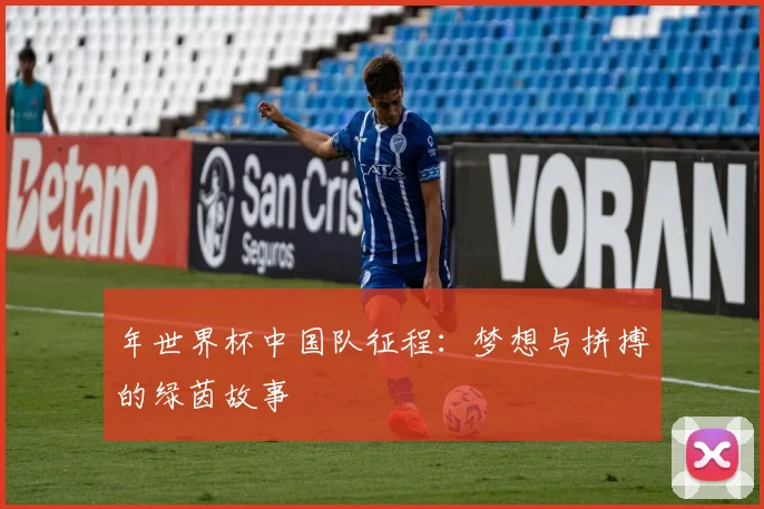 年世界杯中国队征程：梦想与拼搏的绿茵故事