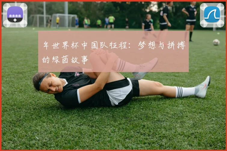年世界杯中国队征程：梦想与拼搏的绿茵故事