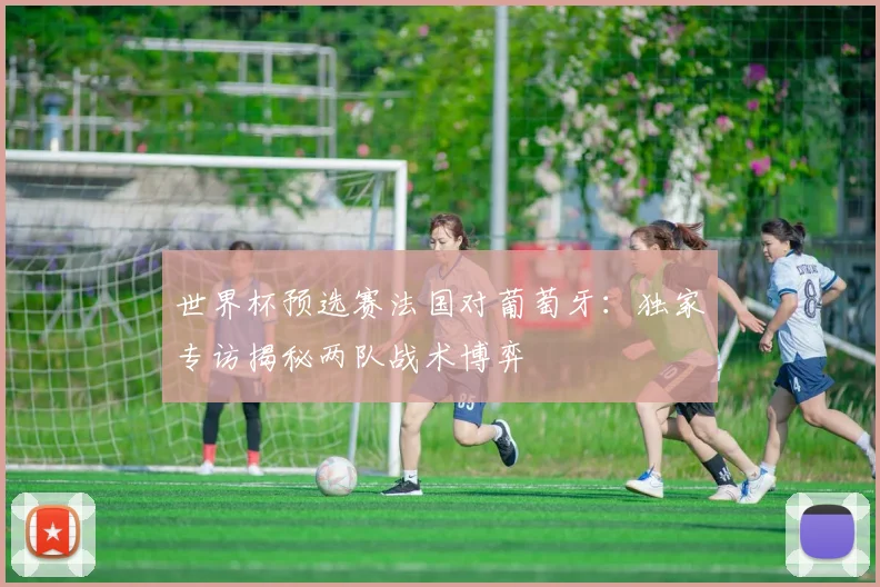 世界杯预选赛法国对葡萄牙：独家专访揭秘两队战术博弈